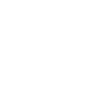Treatment Protocol Image
