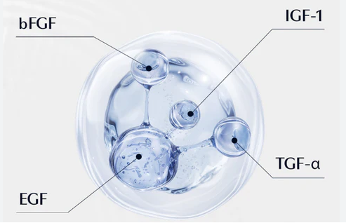 Skin Boosters vs. Dermal Fillers